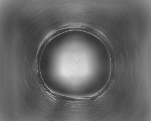 X0000054361172200508051521
