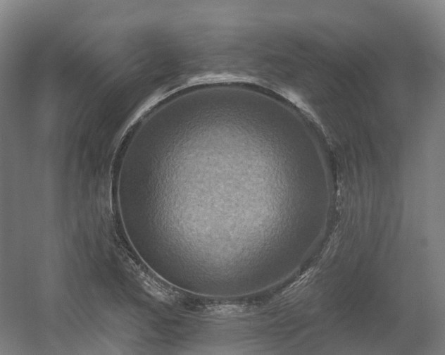 X0000054361173200508051521