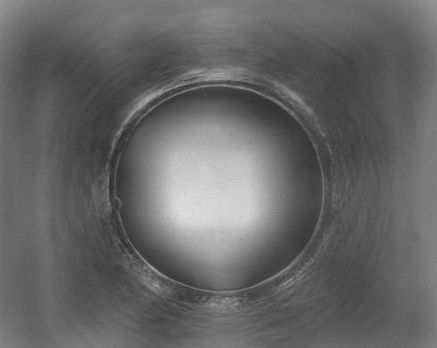 X0000054361174200508051521
