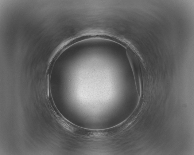 X0000054361175200508051521