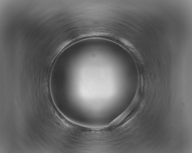 X0000054361177200508051521