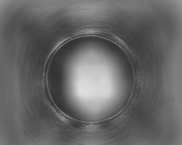 X0000054361178200508051521