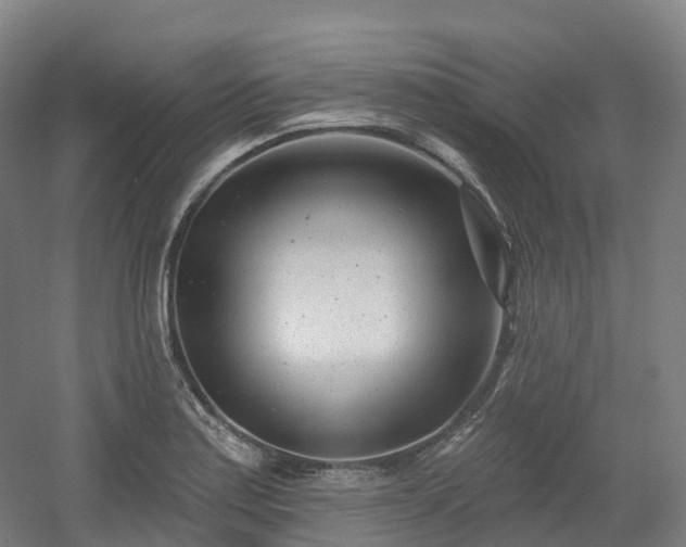 X0000054361179200508051521