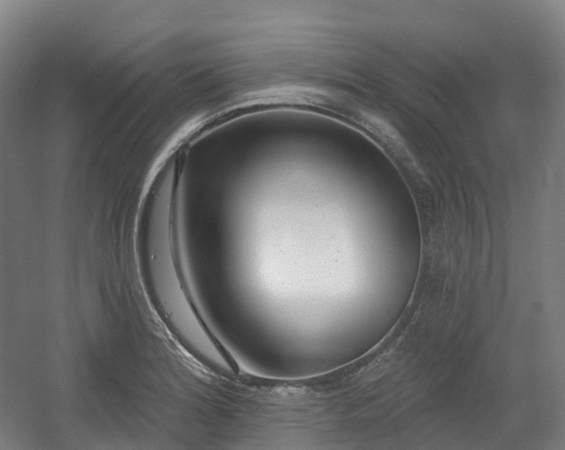 X0000054361180200508051521