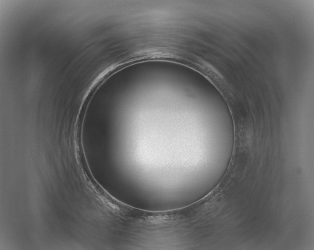 X0000054361182200508051521