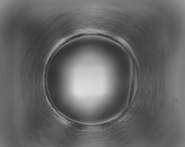 X0000054361183200508051521