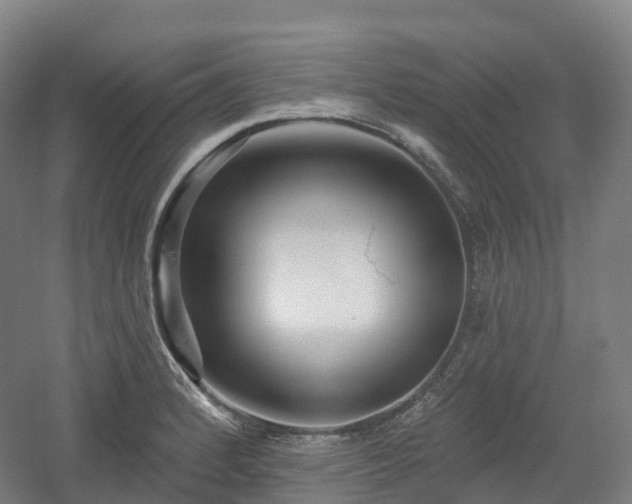 X0000054361184200508051521