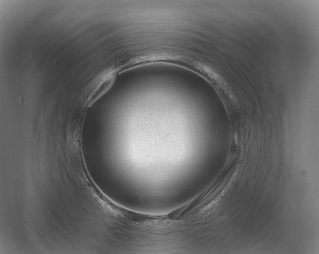 X0000054361185200508051521