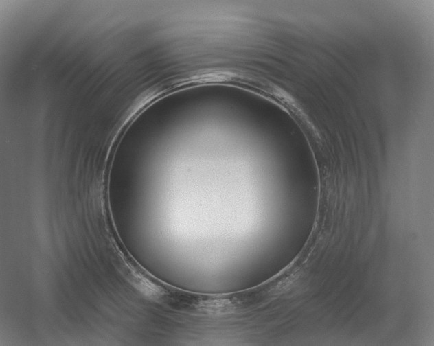 X0000054361186200508051521