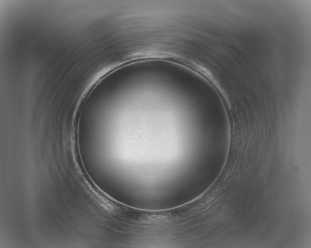 X0000054361187200508051521