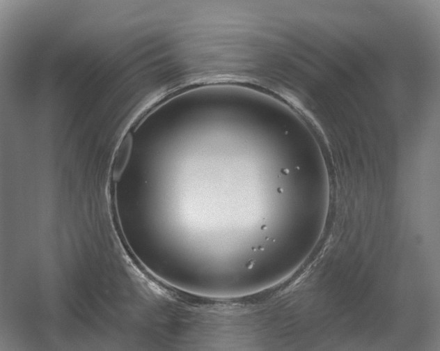 X0000054361189200508051521