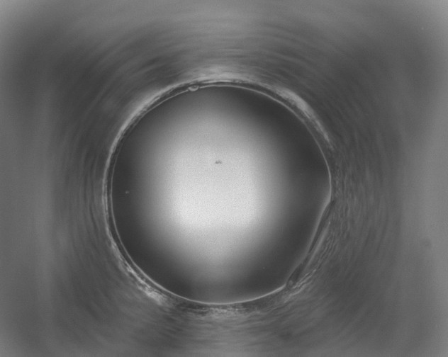 X0000054361191200508051521
