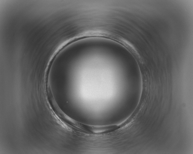 X0000054361192200508051521