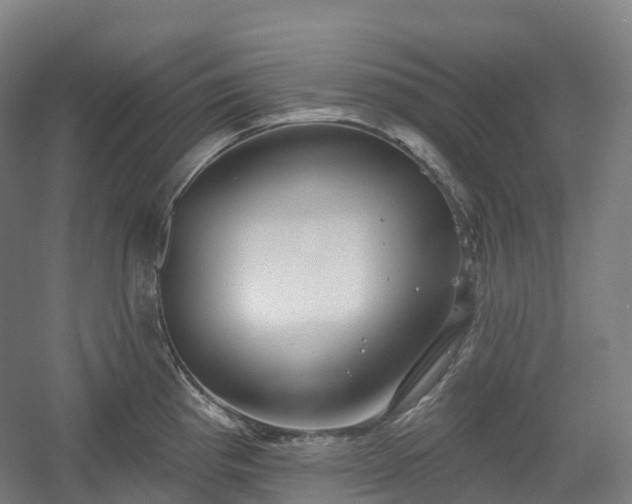X0000054361193200508051521