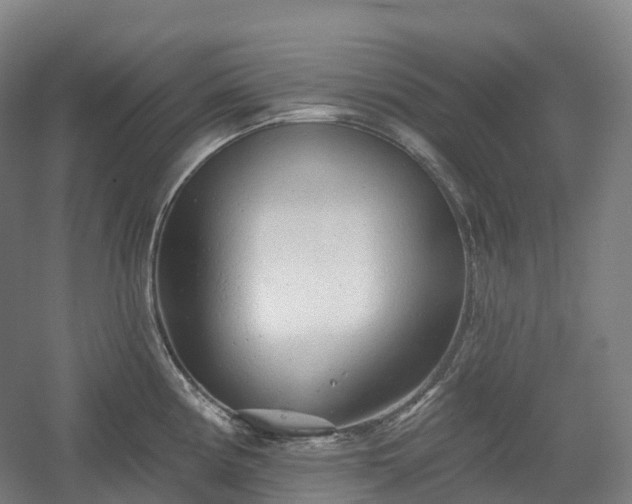X0000054361194200508051521