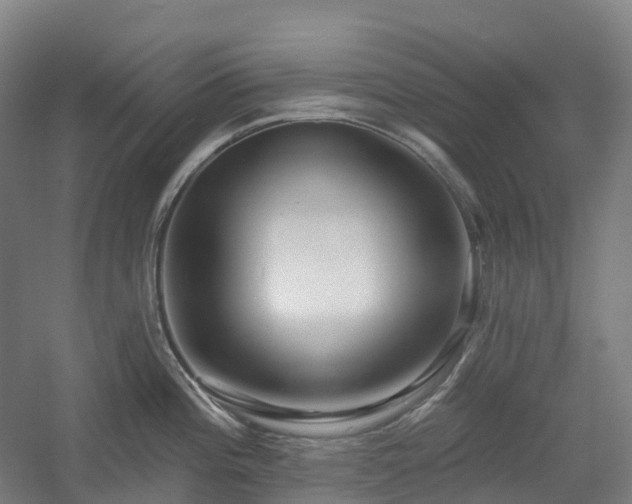 X0000054361196200508051521