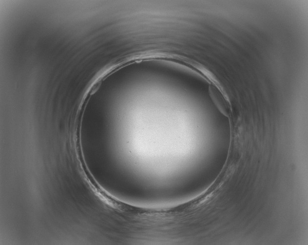 X0000054361197200508051521