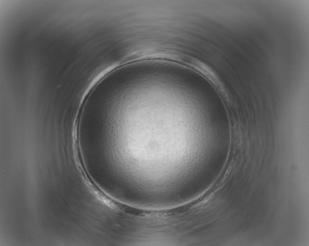 X0000054361198200508051521