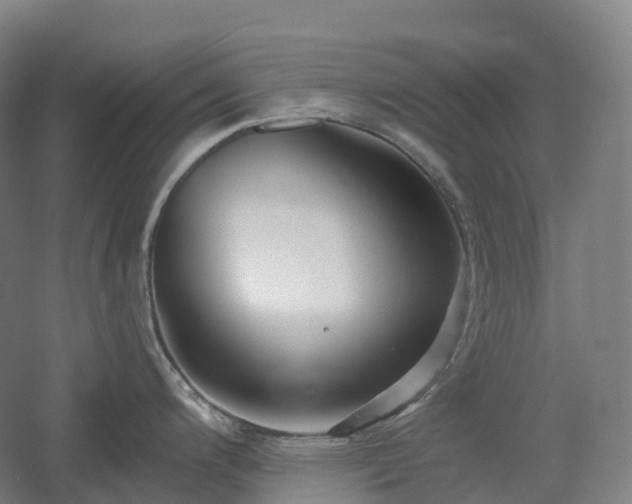 X0000054361200200508051521