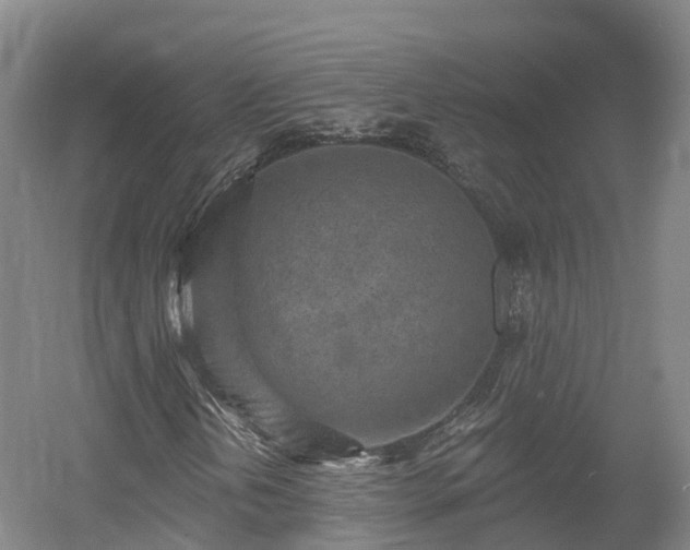X0000054361202200508051520