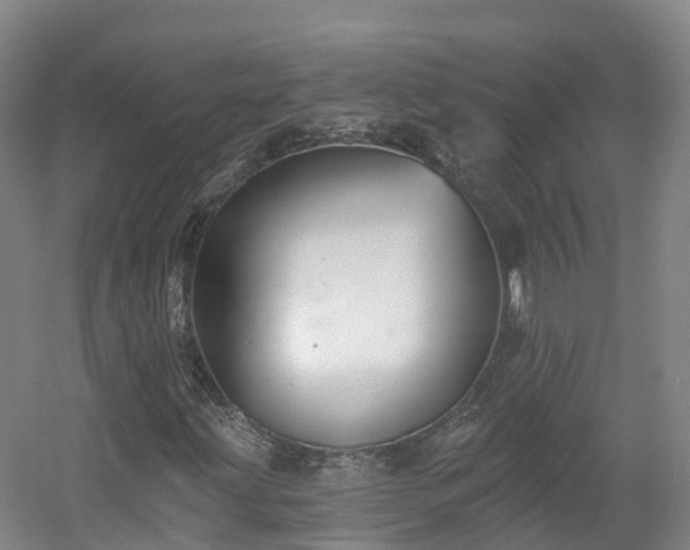 X0000054361203200508051520