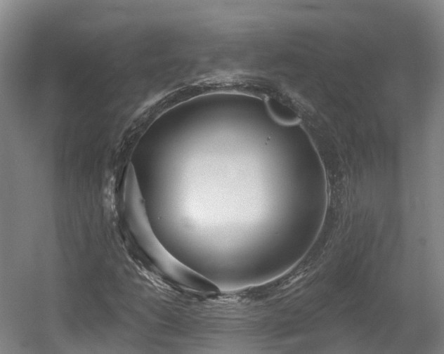 X0000054361206200508051520