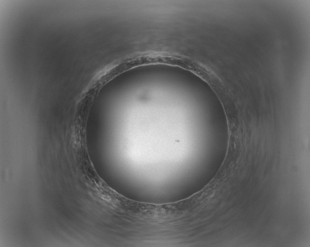 X0000054361207200508051520