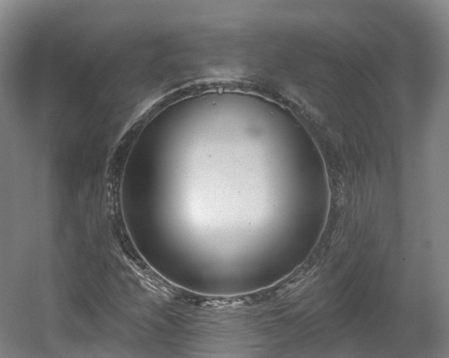 X0000054361208200508051520