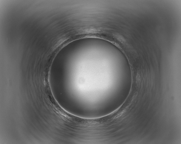 X0000054361209200508051520