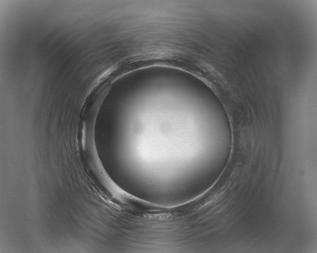 X0000054361210200508051520