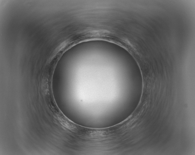 X0000054361211200508051520