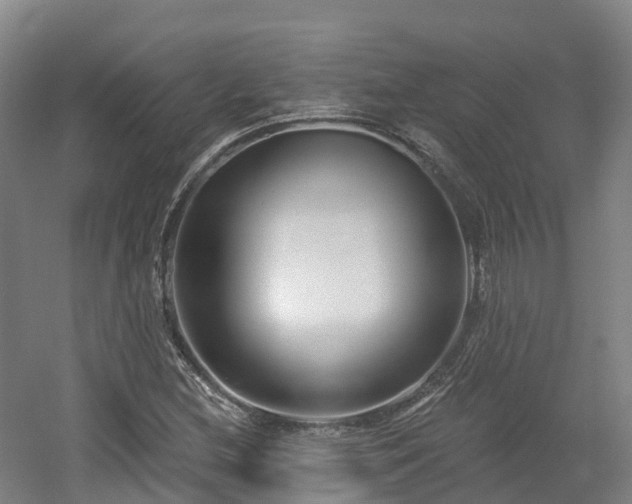 X0000054361212200508051520