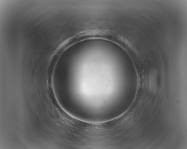 X0000054361213200508051520