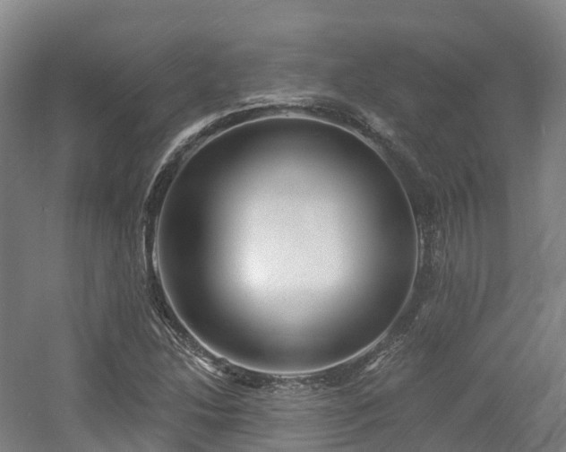 X0000054361214200508051520