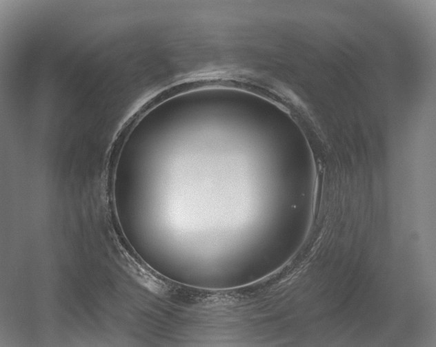X0000054361216200508051520