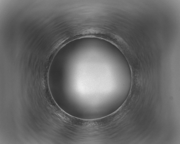 X0000054361217200508051520