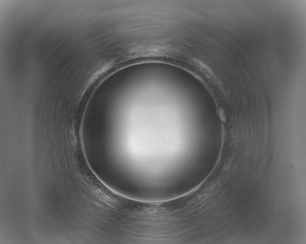 X0000054361218200508051520