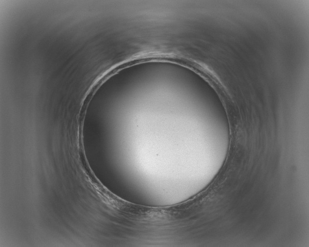 X0000054361220200508051520