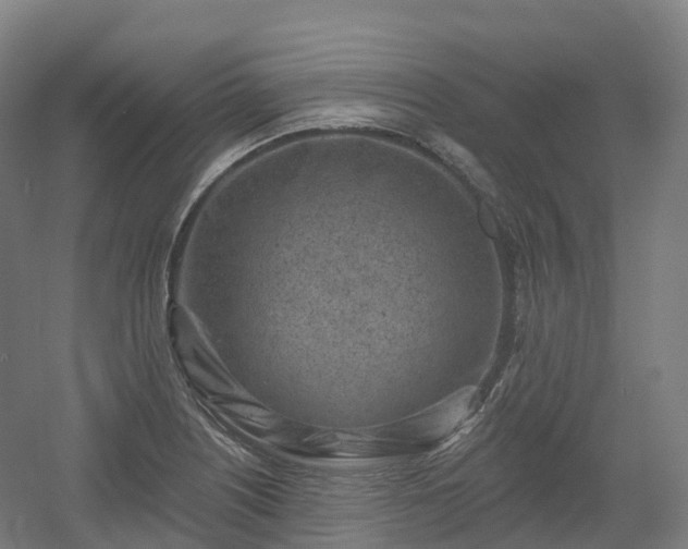 X0000054361226200508051520