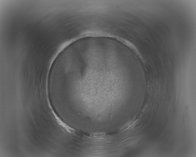 X0000054361231200508051520