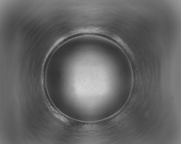 X0000054361232200508051520