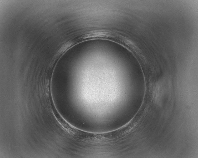 X0000054361233200508051521