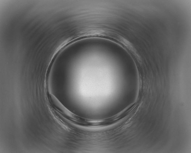 X0000054361234200508051521