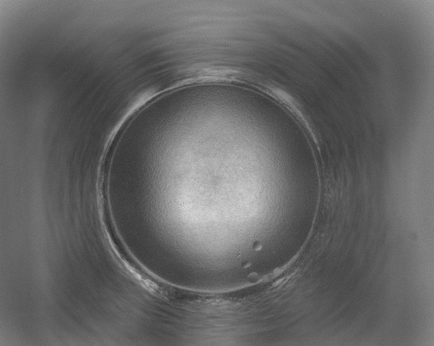 X0000054361235200508051521