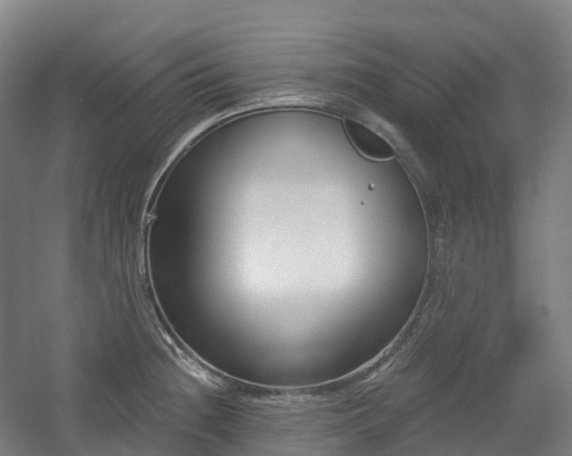 X0000054361236200508051521