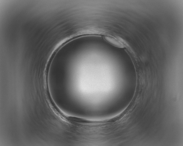 X0000054361238200508051521