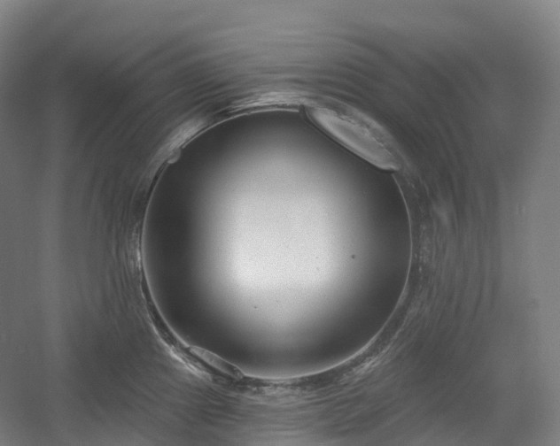 X0000054361241200508051521
