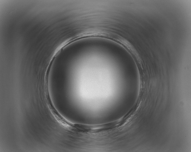 X0000054361242200508051521