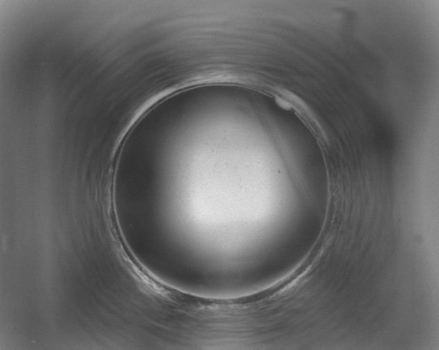 X0000054361244200508051521