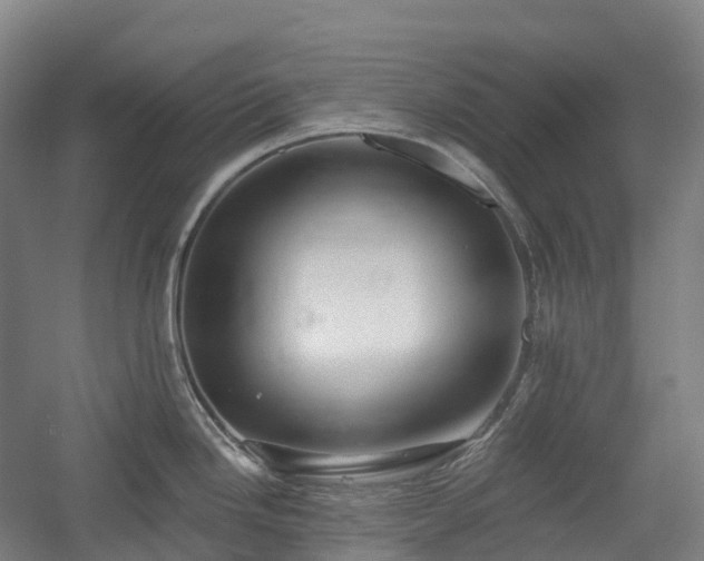 X0000054361246200508051521
